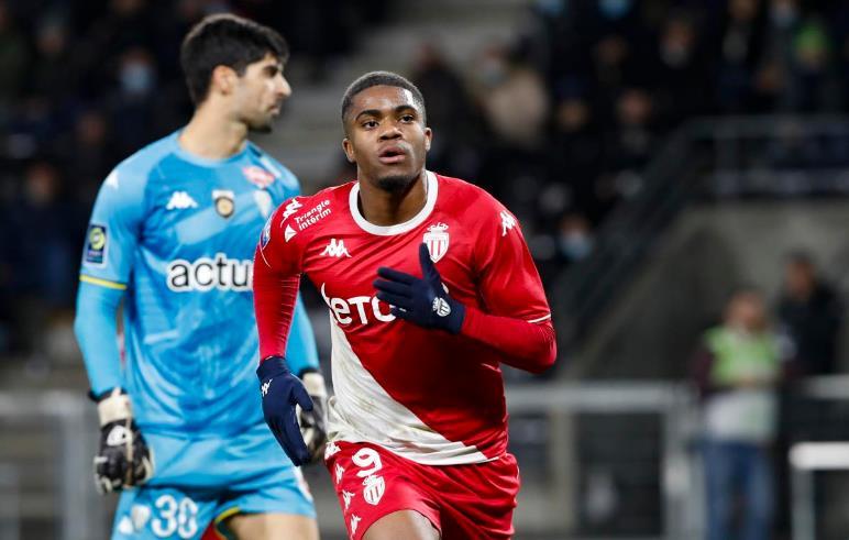 拉菲尼亚不 拉菲尼亚不