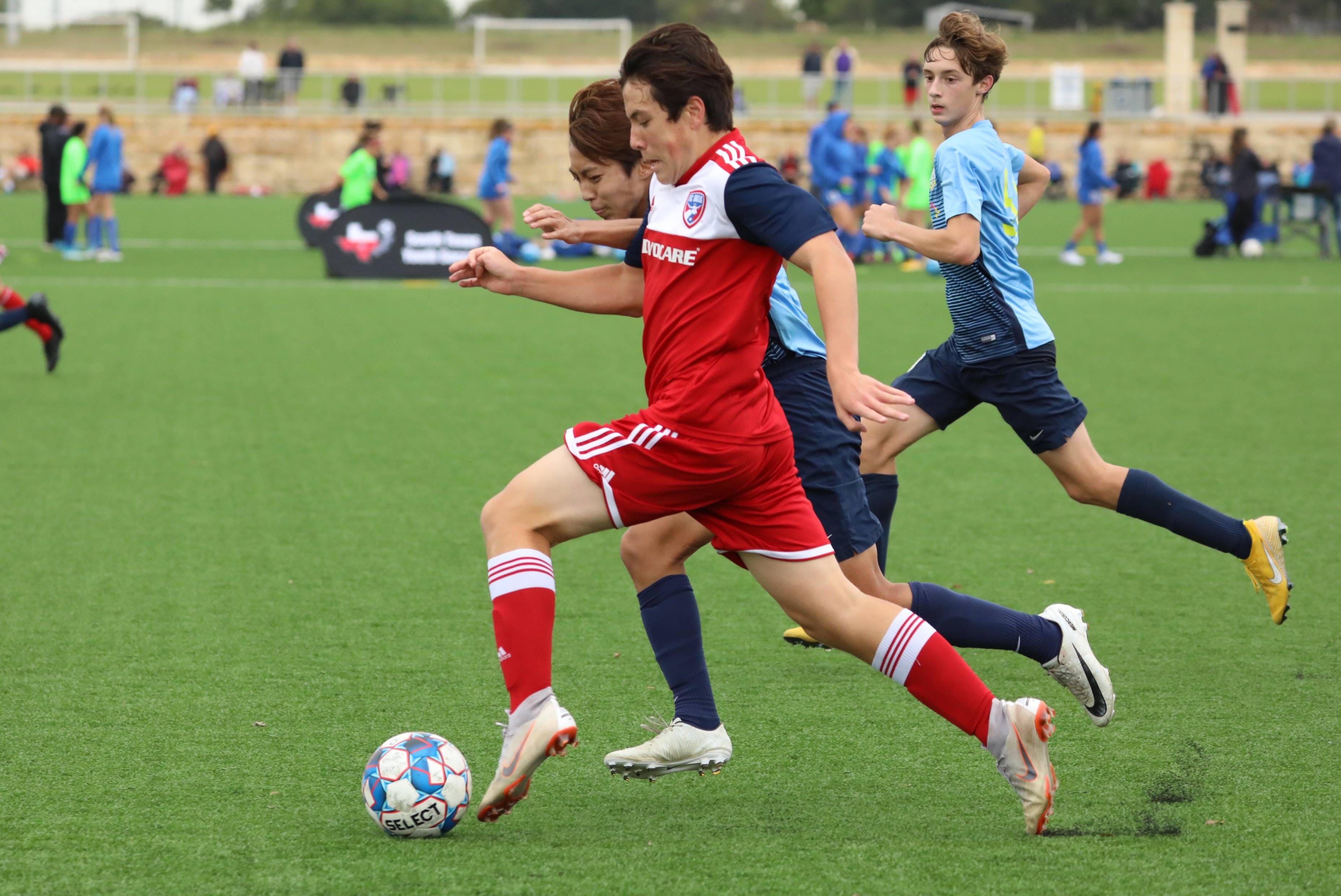 女子麦迪逊 女子麦迪逊